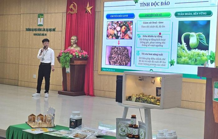 Một đội thi thuyết trình dự án của mình