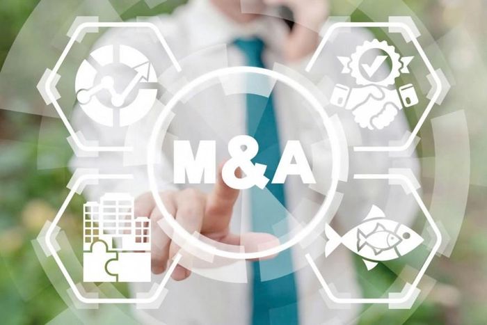 Nhiều doanh nghiệp niêm yết đang đẩy mạnh M&A để mở rộng hệ sinh thái và tăng tốc quy mô. Ảnh: Shutterstock