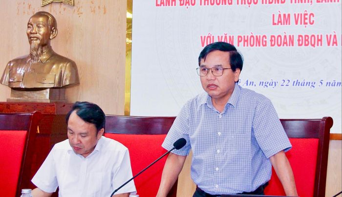 Phó Chủ tịch HĐND tỉnh Nguyễn Như Khôi phát biểu.