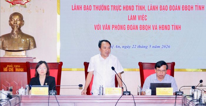 Phó Chủ tịch Thường trực HĐND tỉnh Dương Đình Chỉnh phát biểu