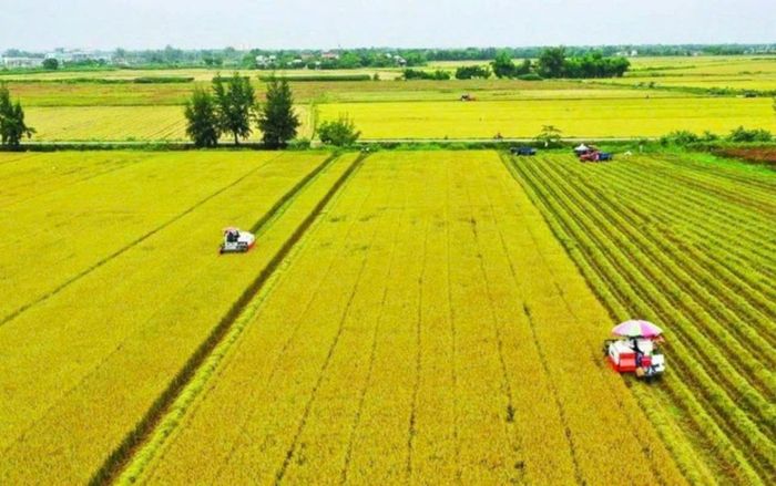 Tín dụng xanh: Đòn bẩy cho nông nghiệp phát triển bền vững