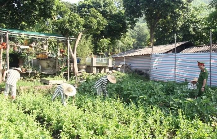 Phạm nhân lao động cải tạo tại Trại tạm giam số 1, Công an tỉnh Thái Nguyên.