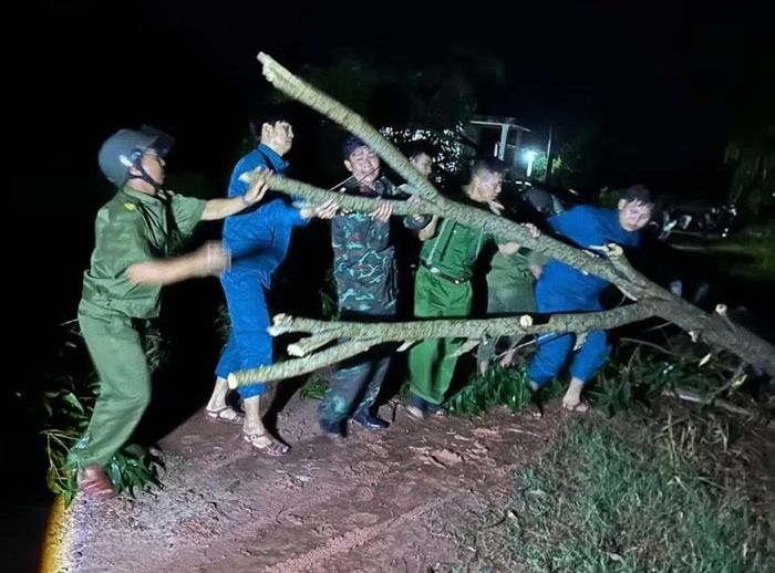 Công an xã phối hợp với các lực lượng chức năng dọn dẹp cây xanh đổ ngã.