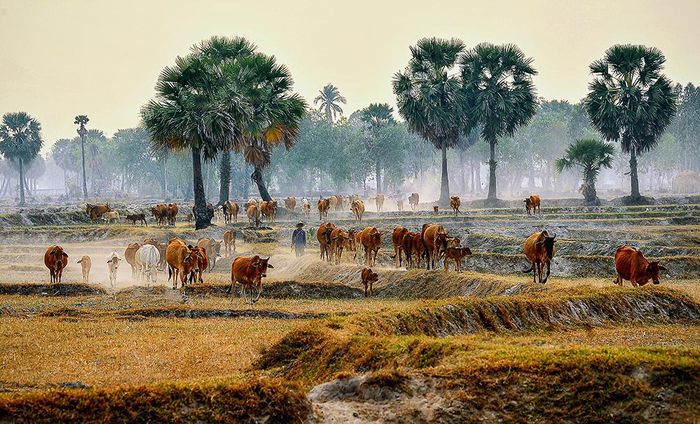 Chiều biên giới.