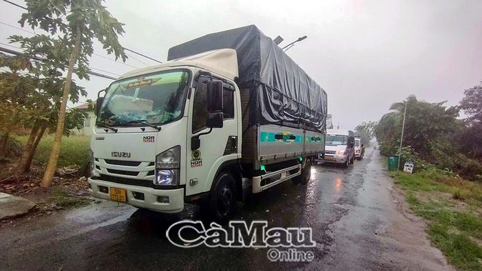 Tuyến đường ĐT978 bị ùn tắc trong nhiều giờ do sự cố.
