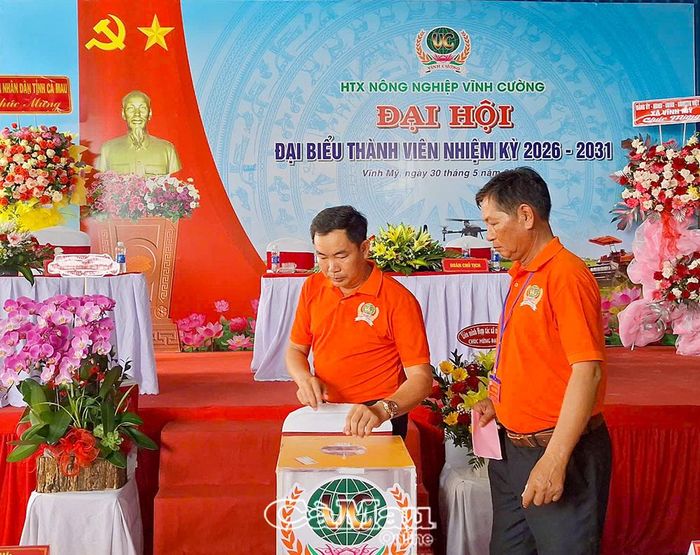 Các thành viên HTX Vĩnh Cường bỏ phiếu bầu Hội đồng quản trị, Ban kiểm soát.