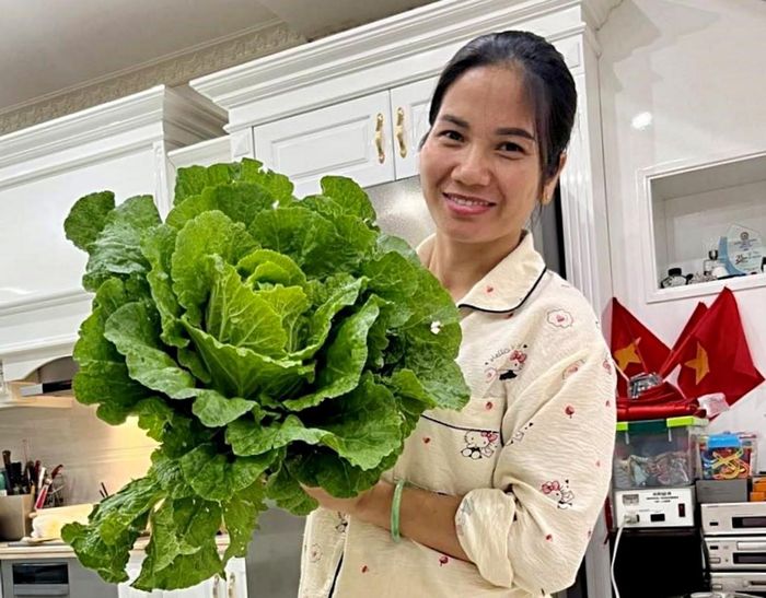 Chị không tốn quá nhiều tiền cho việc mua rau củ mỗi ngày. 