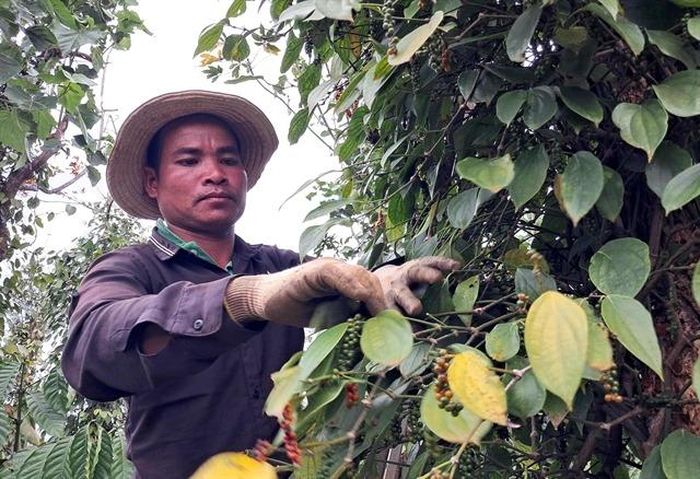 Ảnh: Tư liệu