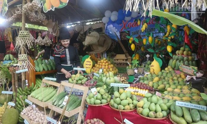 Nhiều gian hàng trưng bày xoài và các nông sản tại ngày hội xoài Yên Châu.
