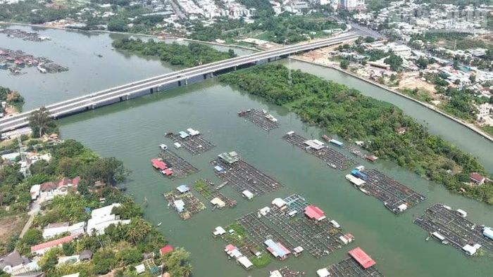 Nuôi cá bè dày đặc trên sông Cái (một nhánh của sông Đồng Nai) ở khu vực trung tâm thành phố Đồng Nai.