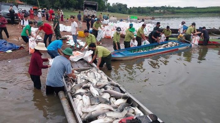 Lực lượng chức năng TP Đồng Nai hỗ trợ người dân vớt cá chết đưa vào bờ