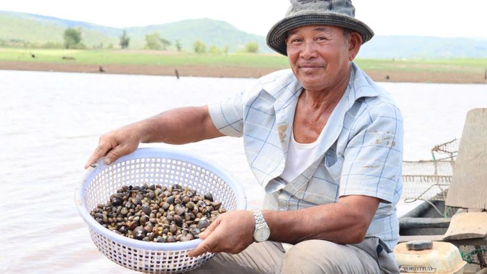  Những rổ hến được sàng lọc sạch sẽ. Ảnh: HỮU PHÚC 