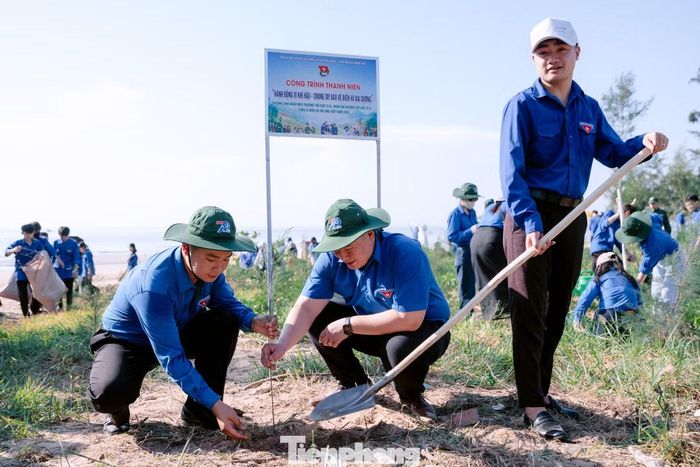 Ngay sau Lễ ra quân là các hoạt động hưởng ứng trồng cây phi lao.