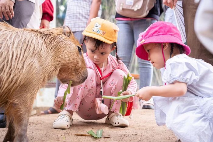 Một kỷ niệm đáng nhớ trong ngày Quốc tế Thiếu nhi 1/6