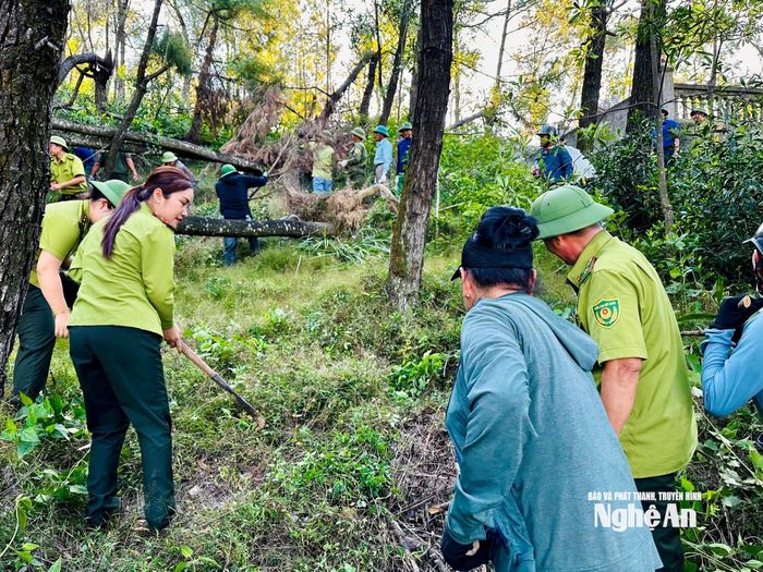 Phát dọn thực bì tại khu vực núi Quyết, phường Trường Vinh. Ảnh: Văn Trường