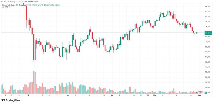 Biểu đồ giá theo ngày của BTC tính đến 31/5. Ảnh: TradingView/Bitstamp