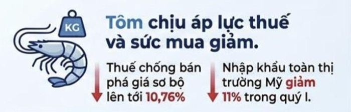 Nguồn: VASEP