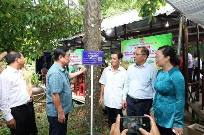 Ông Lê Minh Hoan kể chuyện về cây măng cụt trăm tuổi ở vườn ông Nguyễn Văn Tấn. Ảnh: N.H