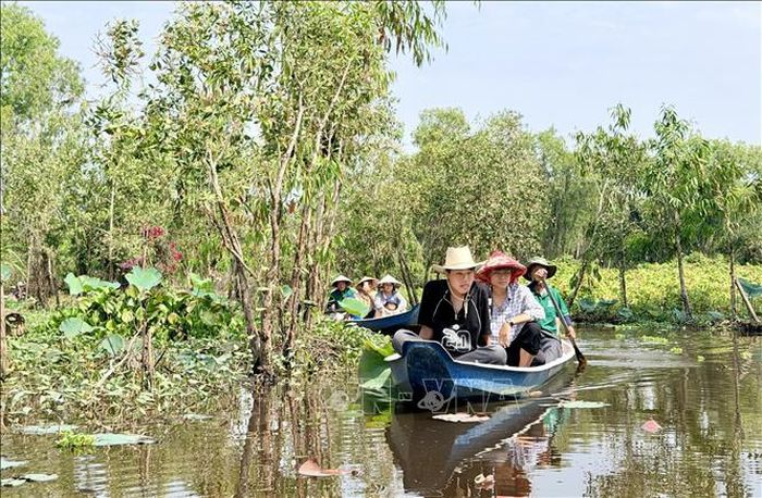 Du khách chèo thuyền tham quan rừng tràm Trà Sư. Ảnh: Thanh Sang/TTXVN