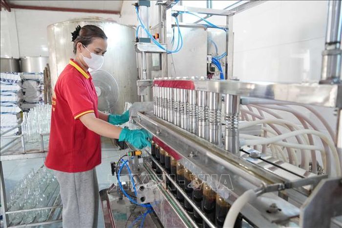 Thành viên Hợp tác xã Thu mua và Chế biến thủy hải sản Phú Khương vận hành dây chuyền đóng chai tự động.