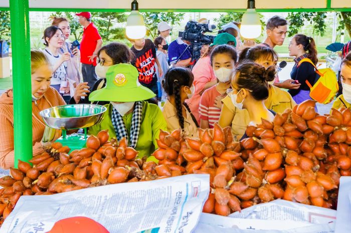 Các loại trái cây tại lễ hội được bán với giá thấp hơn thị trường.