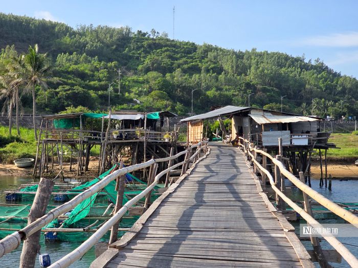 Để duy trì vận hành và có kinh phí tu sửa định kỳ, đơn vị quản lý áp dụng mức phí dịch vụ với khách qua cầu (phục thuộc vào phương tiện và tải trọng di chuyển mà có mức thu khác nhau). Nguồn thu này được sử dụng trực tiếp vào việc gia cố các nhịp cầu và dựng lại công trình mỗi khi thiên tai xảy ra.