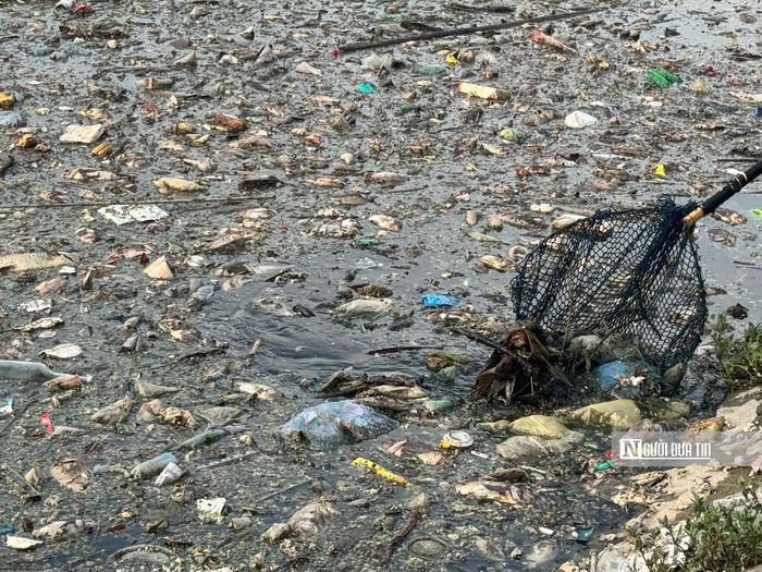 Việc sử dụng vợt cũng tương đối khó khăn do có nhiều loại rác và cả cành cây lẫn trong xác cá.