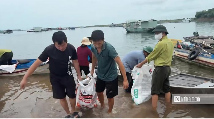 Lực lượng chức năng và người dân thu gom cá chết trên hồ Trị An sau sự cố khiến hơn 200 tấn cá nuôi lồng bè thiệt hại.