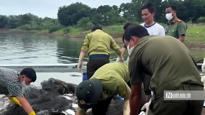 Lực lượng chức năng hỗ trợ người dân thu gom cá chết trên hồ Trị An sau sự cố khiến hàng chục hộ nuôi thủy sản thiệt hại nặng.