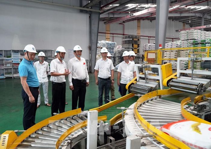 Phó Chủ tịch UBND tỉnh Vĩnh Long Nguyễn Quỳnh Thiện (thứ 4 từ trái sang) tham quan xưởng sản xuất Công ty TNHH Hải Đại (Khu công nghiệp Hòa Phú, xã Phú Quới, tỉnh Vĩnh Long). Ản: Phạm Minh Tuấn-TTXVN