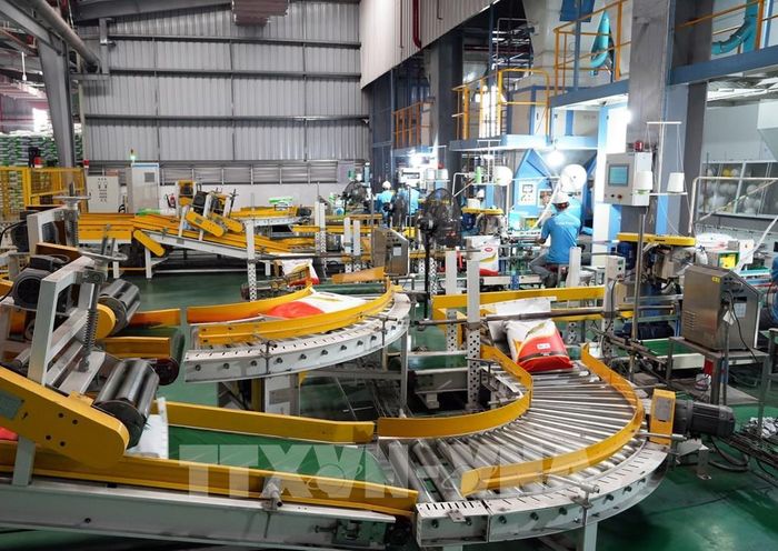 Công nhân sản xuất tại Công ty TNHH Hải Đại (Khu công nghiệp Hòa Phú, xã Phú Quới, tỉnh Vĩnh Long). Ảnh: Phạm Minh Tuấn-TTXVN