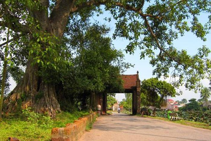 Đến Làng cổ Đường Lâm, du khách sẽ cảm nhận được nét cổ kính cùng không khí yên bình.