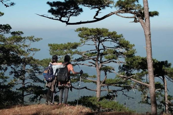Trekking ở VQG Bidoup - Núi Bà