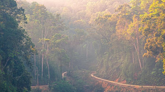Sớm mai bảng lảng sương trên tuyến đường vào các bản làng vùng cao Hùng Sơn.