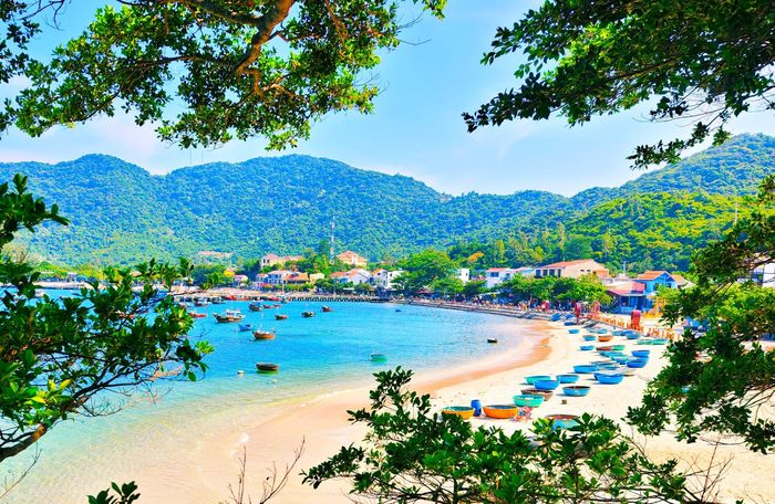 Cù Lao Chàm là địa bàn khai thác yến sào chủ yếu của nghề yến Thanh Châu. Ảnh: Đào Đặng Công Trung