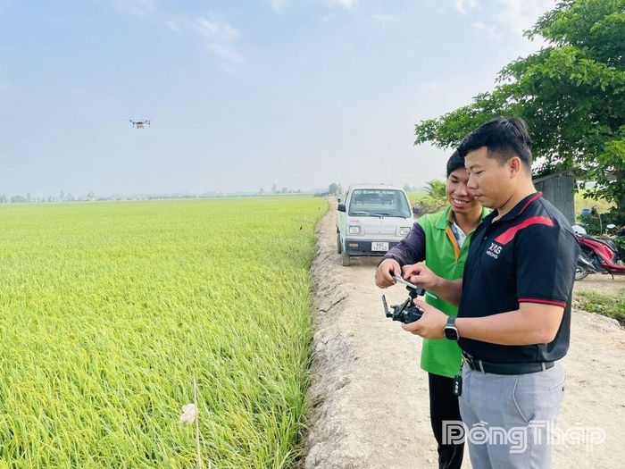 Anh Lê Quốc Trung cùng cộng sự sử dụng máy bay không người lái thu thập dữ liệu đồng ruộng, hỗ trợ theo dõi tình trạng cây lúa trong sản xuất nông nghiệp hiện đại.