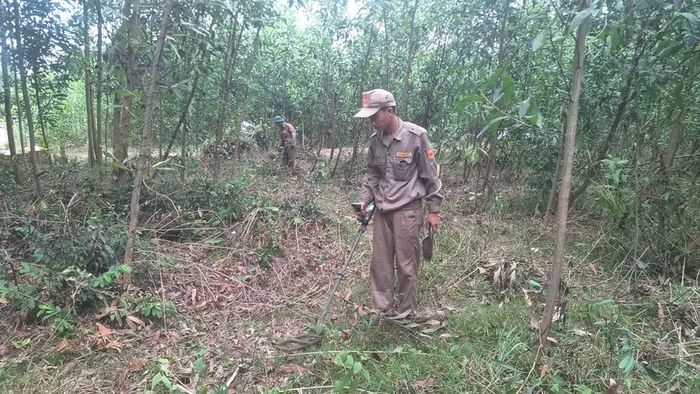  Cán bộ, chiến sĩ Lữ đoàn Công binh 7 rà phá bom mìn tại phường Bồng Sơn. Ảnh: H.S 