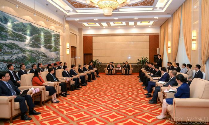 Quang cảnh buổi làm việc.