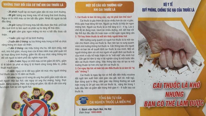 Tuyệt đối không sử dụng thuốc lá và hãy bỏ thuốc để bảo vệ sự an toàn cho gia đình và cộng đồng.