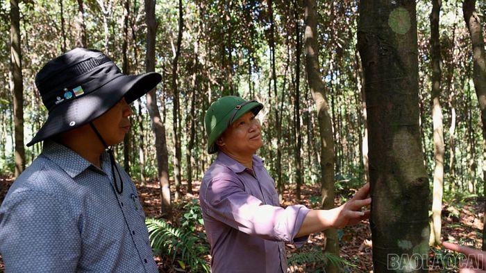 Việc cấp mã số vùng trồng giúp người dân dễ tiêu thụ sản phẩm hơn.