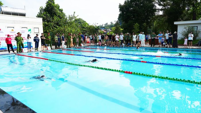 Giải bơi năm 2026 đã thu hút 50 vận động viên nhí tham gia tranh tài.