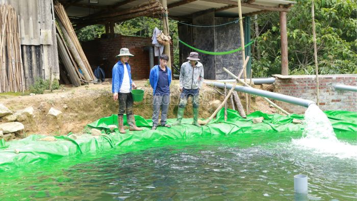  Anh Vàng A Gió (ngoài cùng, bên trái) được trưởng thôn Vàng A Sáu hướng dẫn kỹ thuật nuôi cá nước lạnh. 