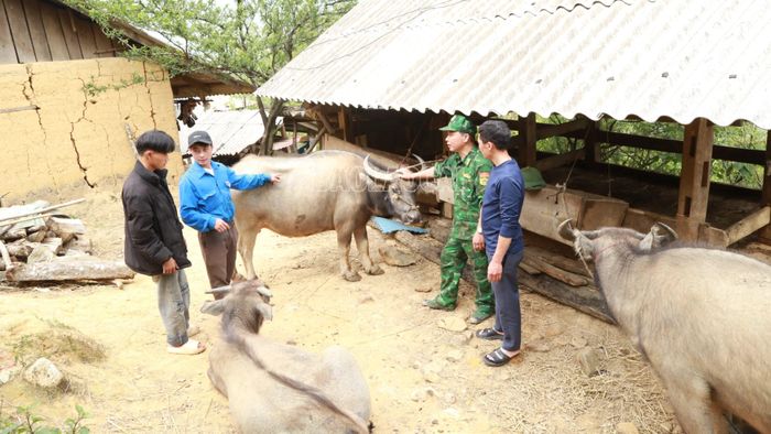  Trưởng thôn Vàng A Sáu quan tâm tuyên truyền, vận động người dân phát triển kinh tế, nâng cao thu nhập. 