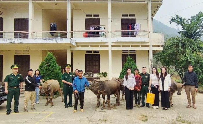 Đồn Biên phòng Si Ma Cai tích cực huy động các nguồn lực xã hội hóa để hỗ trợ cây trồng, vật nuôi, giúp các hộ nghèo vùng biên phát triển sinh kế.