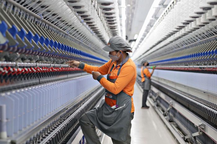 Ngành thống kê tỉnh đẩy nhanh tiến độ thu thập, tổng hợp và phân tích số liệu kinh tế trong lĩnh vực sản xuất công nghiệp, xuất nhập khẩu 