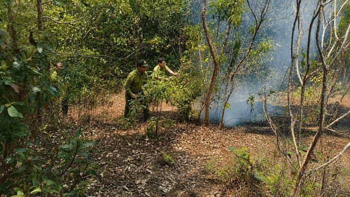 Lực lượng kiểm lâm xử lý điểm cháy thực bì giữa rừng, ngăn nguy cơ cháy lan