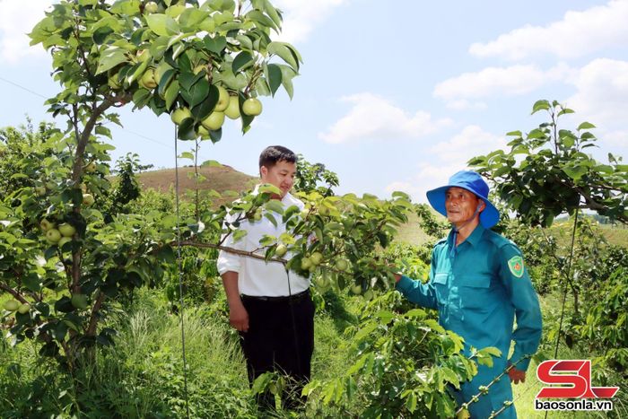 Mô hình phát triển kinh tế tổng hợp của nhân dân Chiềng Sung.