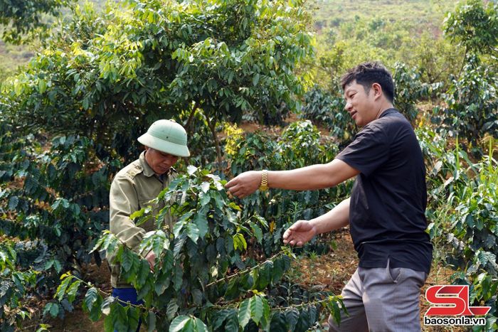 Nhân dân xã Mường Bám yên tâm lao động, sản xuất.