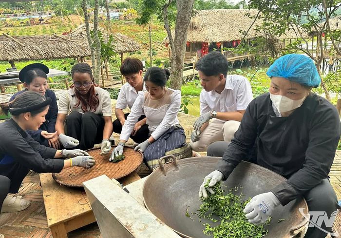 Du khách trải nghiệm hái chè, sao chè và khám phá không gian văn hóa trà tại một vùng chè nổi tiếng của Thái Nguyên.