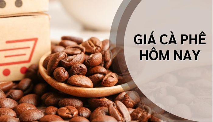 Giá cà phê hôm nay đồng loạt giảm mạnh trên cả thị trường trong nước và thế giới. Ảnh minh họa